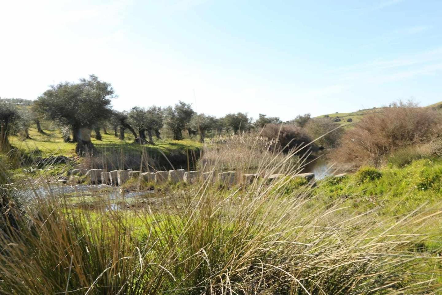 El Olivar Agloipe Ahigal Trcc Exteriér fotografie