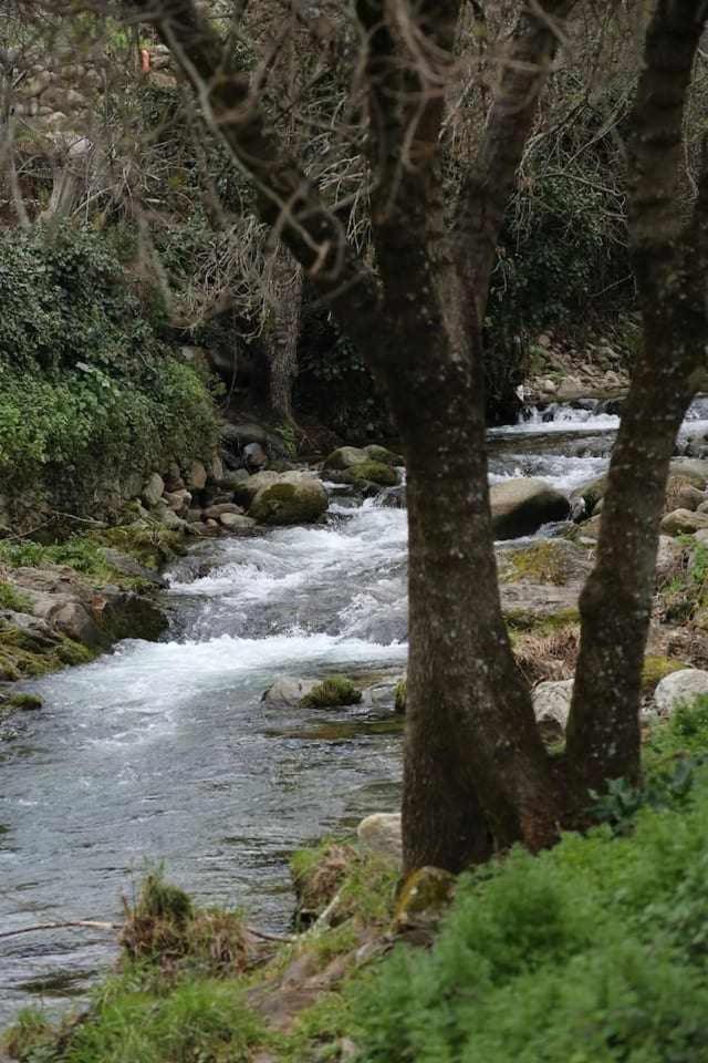 El Olivar Agloipe Ahigal Trcc Exteriér fotografie